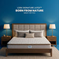 LORA SignatureLuxe